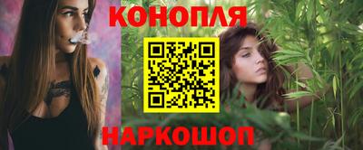 прущие крисы Краснознаменск