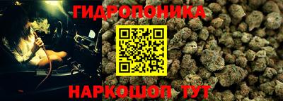прущие крисы Краснознаменск