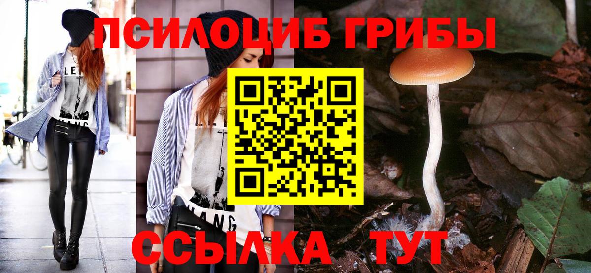 Галлюциногенные грибы Magic Shrooms Ухта